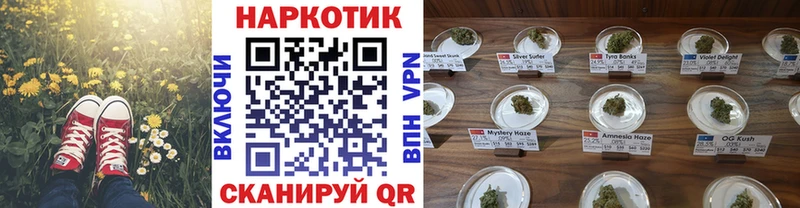 Где найти наркотики Высоцк MEGA маркетплейс  A PVP  Канабис  Кокаин  КЕТАМИН 