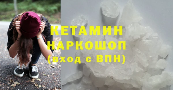 дмт Богданович
