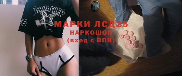 дмт Богданович