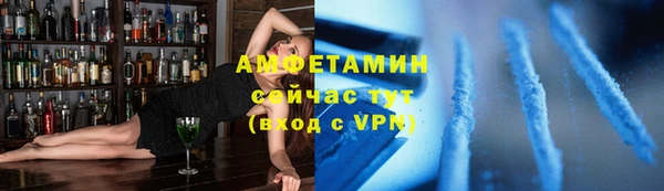дмт Богданович