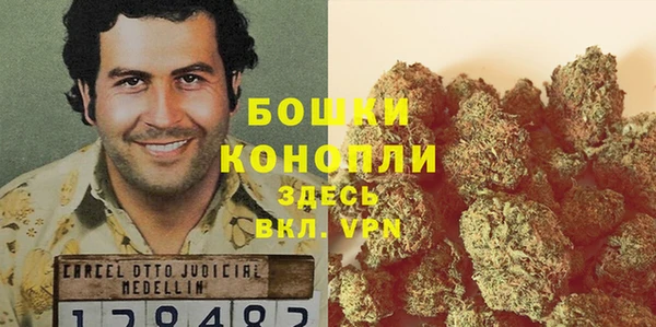 дмт Богданович