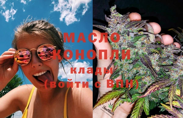 дмт Богданович