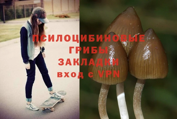 амфетамин Богородицк