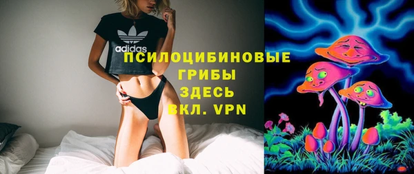 дмт Богданович
