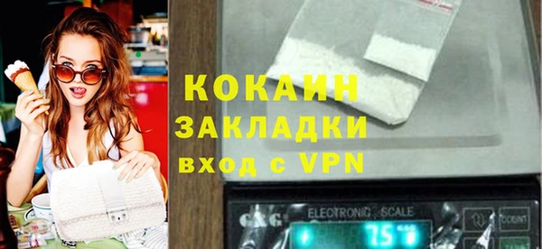 дмт Богданович