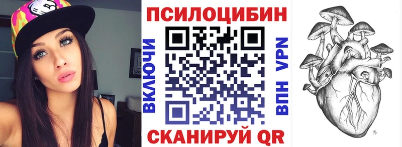 Псилоцибиновые грибы мицелий  Высоцк 